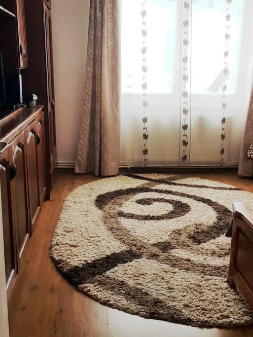 Apartament Garsoniera Emilia Kimpulung Mołdawski Zewnętrze zdjęcie